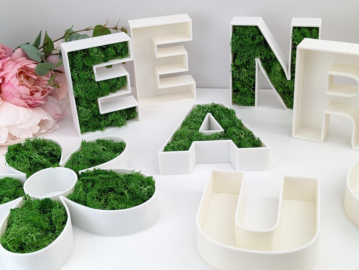 Letter Number Trays